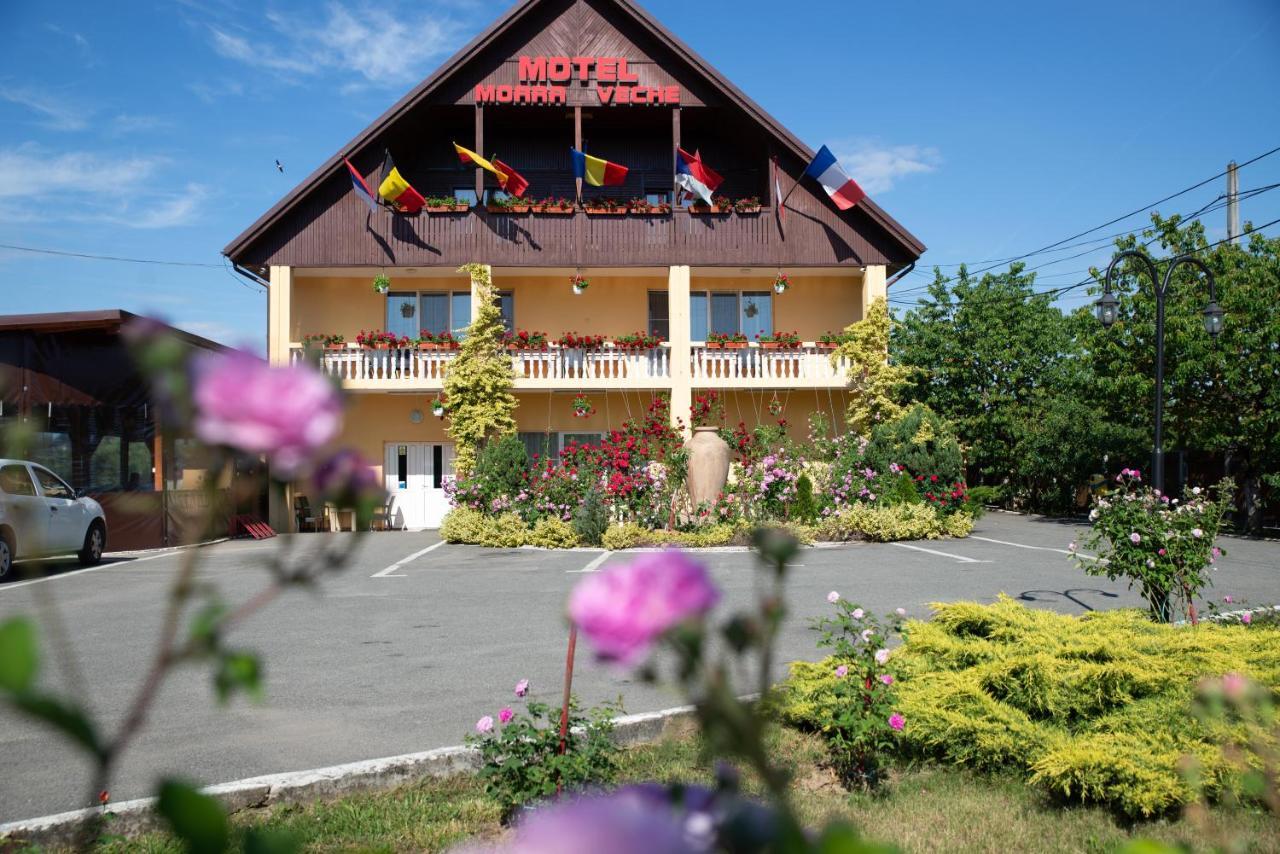Motel Moara Veche Săcălăşeni Exteriér fotografie